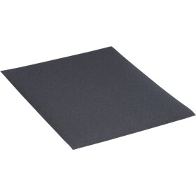 Rhodius WSP 301009 brusný papír Zrnitost 220 (š x v x h) 230 x 1 x 280 mm 50 ks