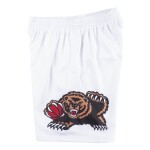 Mitchell & Ness Pánské kraťasy Vancouver Grizzlies NBA 1998-99 Swingman Shorts Velikost: L