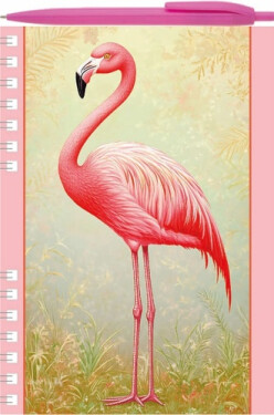 Plameňák - Psací sada Zápisník A5 + kuličkové pero