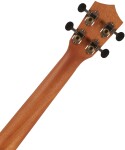 Bamboo U-26 Sapele-Q