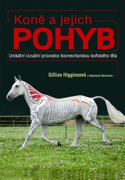 Koně jejich pohyb