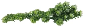 Lucky Reptile Turtle Plants Horn Fern cca 40 cm (FP-64542)
