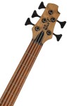 Cort B5 Element OPN