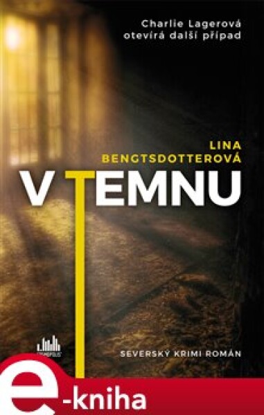 V temnu - Lina Bengtsdotterová e-kniha