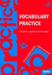 Vocabulary Practice