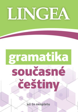 Gramatika současné češtiny... už to nesp - kolektiv autorů