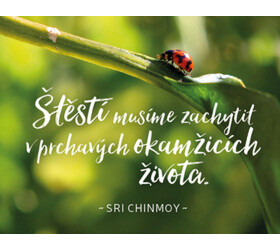 Štěstí musíme zachytit prchavých okamžicích života