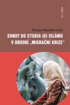 Sondy do studia islámu období „migrační krize“ Přemysl Rosůlek