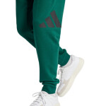 Kalhoty adidas Essentials Big Logo French Terry M JE8971 s