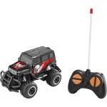 Amewi Crazy Crawler 1:10 RC model auta elektrický, Crawler, 4WD (4x4), vč. akumulátorů, nabíječky a baterie ovladače, 22