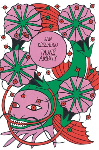 Tajné ambity - Jan Křesadlo