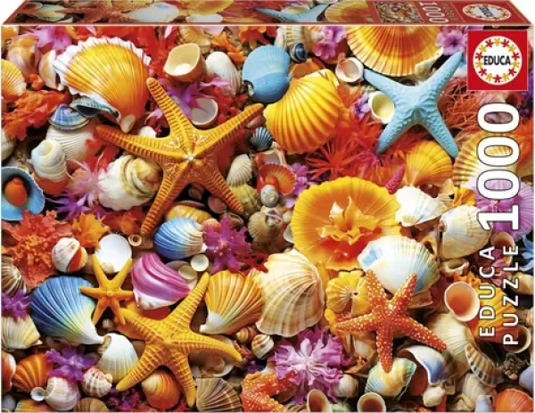 EDUCA Puzzle Mušle