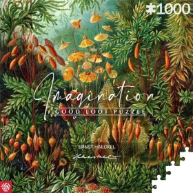 GOOD LOOT Puzzle Imagination: Ernst Haeckel - Muscinae