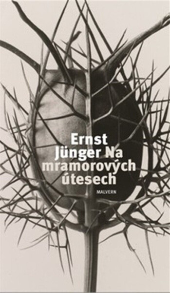Na mramorových útesech - Ernst Jünger