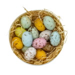 Nicolas Vahé Cukrové bonbony s lískooříškovým krémem Dragee, multi barva