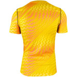 Pánské tričko Nike Dri_Fit Gardien VI Goalkeeper yellow HV8301 718 pánské s