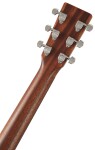 Martin D-10E Sapele Top