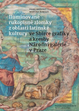 Iluminované rukopisné zlomky z oblasti latinské kultury ve Sbírce grafiky a kresby Národní galerie v Praze - Pavel Brodský, Martina Šumová