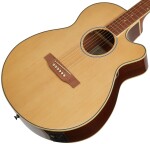 Epiphone Player Pack PR4E NA