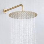 REA - Dešťová sprcha Gold Brush 25cm REA-P0502