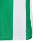 Tričko adidas Striped 24 Jr IW2138 164cm