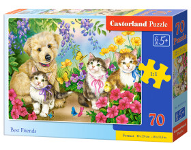 Puzzle Castorland 70 dílků premium