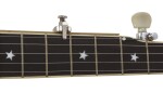 Shubb FS - Fifth String Banjo Capo