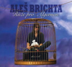 Růže pro Algernon - Aleš Brichta