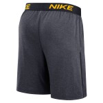 Nike Pánské kraťasy San Diego Padres MLB 2026 City Connect Authentic Dri-FIT Shorts Velikost: 2XL