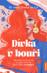 Dívka v bouři - Sheila de Liz