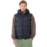 Vesta 4F M193 M 4FWSS25TVJAM193 20S pánské 2 XL