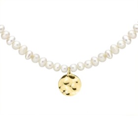Perlový choker náhrdelník Bibiana Gold - chirurgická ocel, perla, Zlatá 45 cm + 3 cm (prodloužení) Bílá