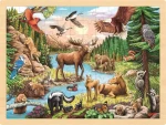 GOKI Dřevěné puzzle Divoká příroda Severní Ameriky