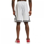 Karl Kani Small Signature Pinstripe Mesh Shorts M 6014921 L