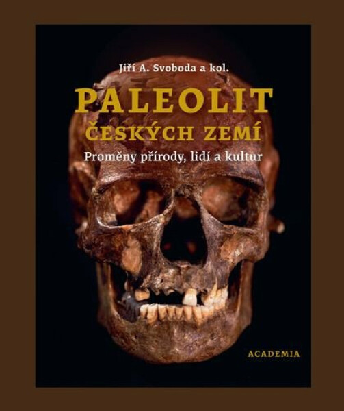 Paleolit českých zemí - Jiří A. Svoboda, kolektiv autorů