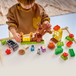 LEGO LEGO® DUPLO® 10469 Muffin, Bluey a rozvoz pizzy