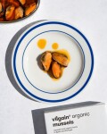Vilgain Slávky BIO – V extra panenském olivovém oleji a jablečném octu 111 g