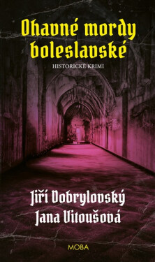 Ohavné mordy boleslavské - Jiří Dobrylovský