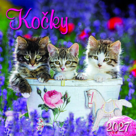 Kalendář 2027 nástěnný: KOČKY