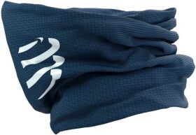 Compressport 3D Thermo UltraLight Headtube Poseidon