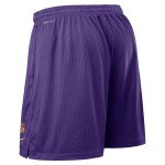 Nike Pánské kraťasy Minnesota Vikings NFL 2025 Sideline Reversible Mesh Dri-FIT Shorts Velikost: S