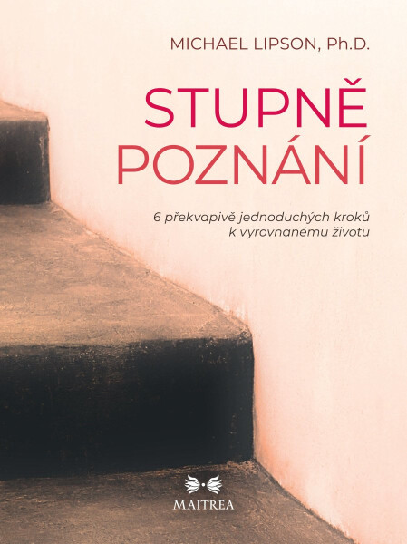 Stupně poznání - 6 překvapivě jednoduchých kroků k vyrovnanému životu - Michael Lipson