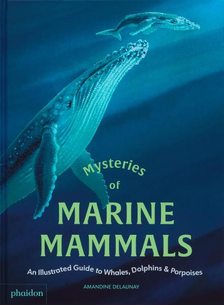Mysteries of Marine Mammals - Amandine Delaunay