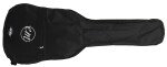 Tanglewood EM C2