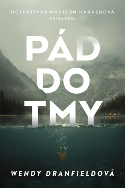 Pád do tmy - Wendy Dranfield