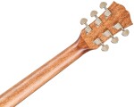 Dowina Rustica DE-s StagePro