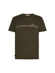 Pánské merino triko s krátkým rukávem ICEBREAKER Mens 150 Tech Lite SS Tee Range Stripes, Dark Loden velikost: XL