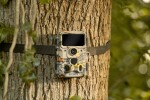 Camouflage Fotopast Camouflage EZ60 Wifi/Bluetooth