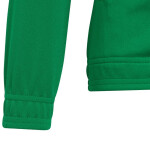 Entrada 22 Jr dětská mikina HI2138 Adidas