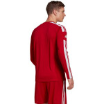 Tričko adidas Squadra 21 Jersey Long Sleeve GN5791 pánské